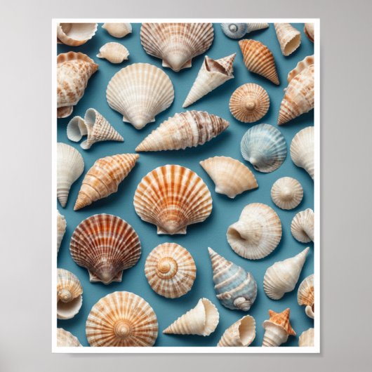 Zee Shell Wall Art Home Decor Room Poster (Voorkant)