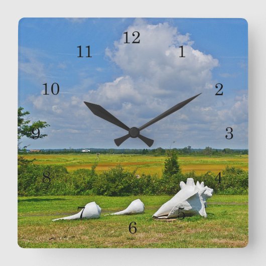 Zee Shell Wall Clock Vierkante Klok (Voorkant)