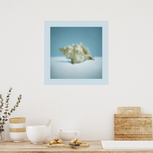 Zee slak - poster (Keuken)