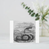 Zee slang/serpent briefkaart (Staand voorkant)
