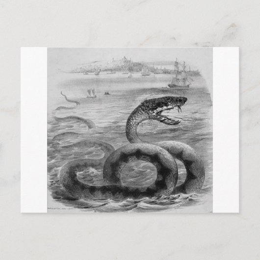 Zee slang/serpent briefkaart (Voorkant)