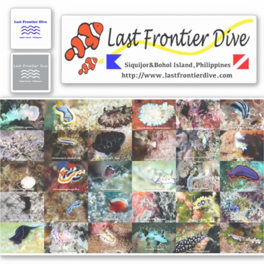 【 Zee Slug 】 je duikboekje op! Sticker (Voorkant)