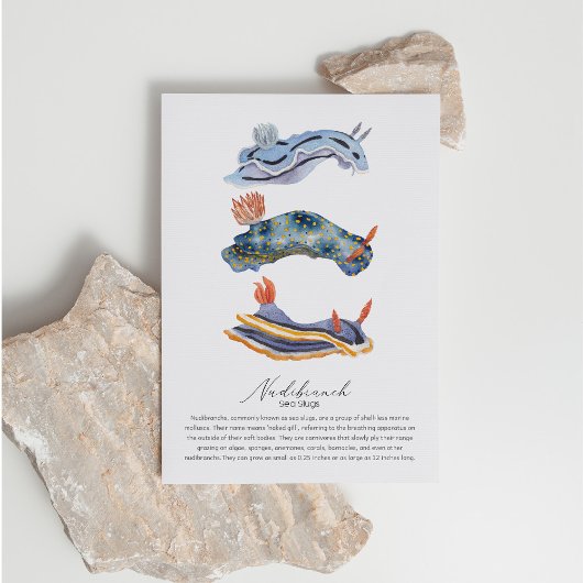 Zee Slugs Briefkaart