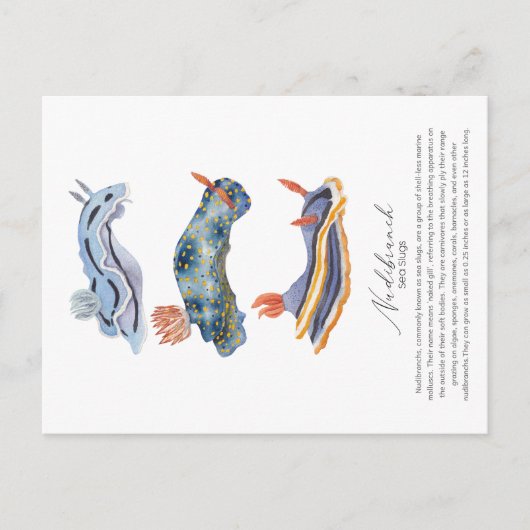 Zee Slugs Briefkaart (Voorkant)