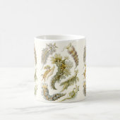  Zee Slugs en Slakken door Ernst Haeckel Koffiemok (Center)