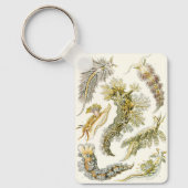 Zee Slugs en Slakken door Ernst Haeckel Sleutelhanger (Voorkant)