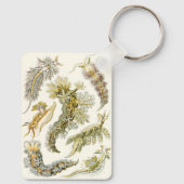 Zee Slugs en Slakken door Ernst Haeckel Sleutelhanger (Achterkant)
