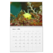 Zee Slugs Kalender (Mar 2026)