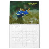 Zee Slugs Kalender (Feb 2026)