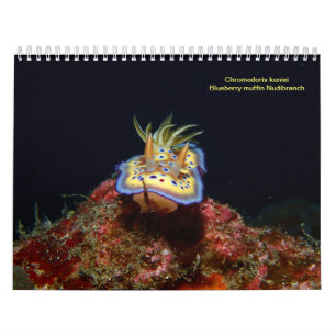 Zee Slugs Kalender