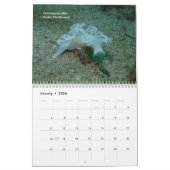 Zee Slugs Kalender (Jan 2026)