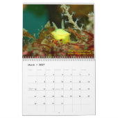 Zee Slugs Kalender (Mar 2027)