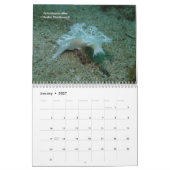 Zee Slugs Kalender (Jan 2027)
