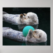 Zee snoeien Fotografisch otters Poster (Voorkant)