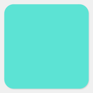 Zee Spray Aqua Blue Solid Trend Color Background Vierkante Sticker
