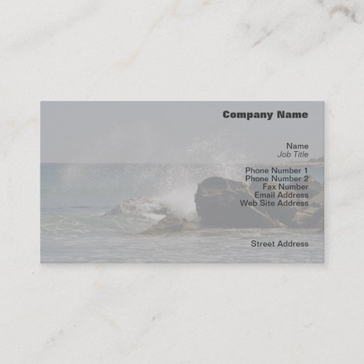Zee Spray Profile Card Visitekaartje (Voorkant)