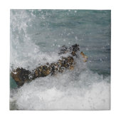 Zee Spray Tegeltje (Voorkant)