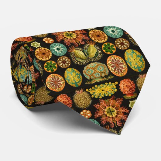 Zee Squirts Ascidiae door Ernst Haeckel Stropdas (Opgerold)