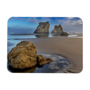 Zee-Stacks op Bandon Beach in Bandon, Oregon 2 Magneet
