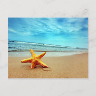 Zee Star on the Beach, Blue Sky, Ocean Briefkaart