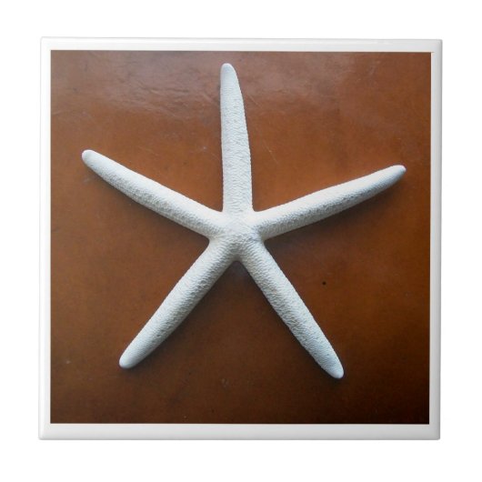 Zee Star Tegel Tegeltje (Voorkant)