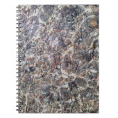 Zee steentjes Onderwater Foto Notitieboek (Voorkant)