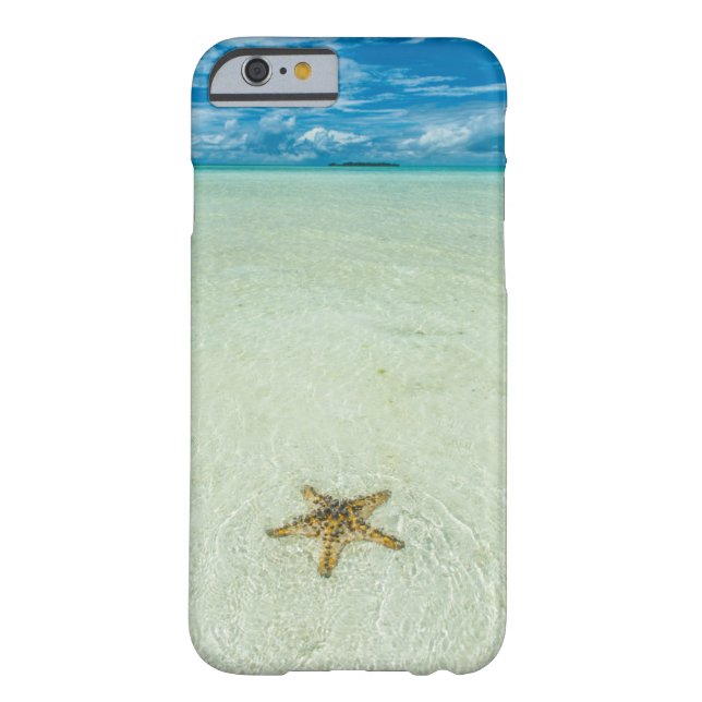 Zee ster in ondiep water, Palau Case-Mate iPhone Case (Achterkant)