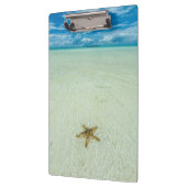 Zee ster in ondiep water, Palau Klembord (Links)