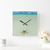 Zee ster in ondiep water, Palau Vierkante Klok (Huis)