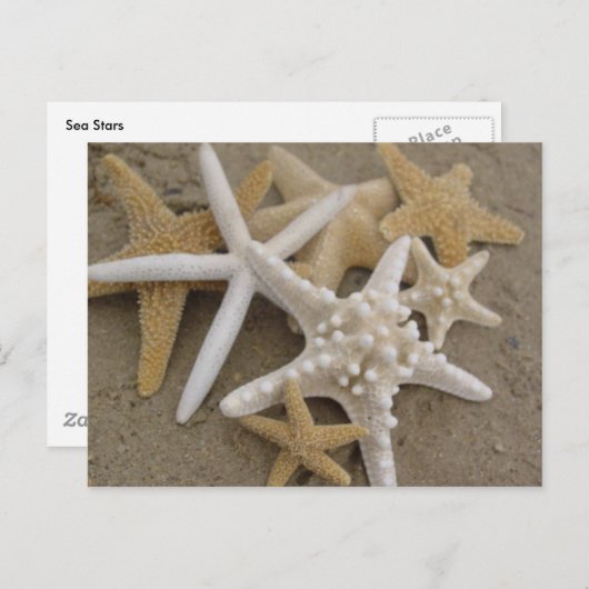 Zee sterren briefkaart (Voorkant / Achterkant)