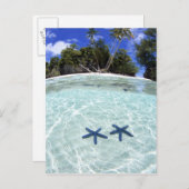 Zee sterren, Rock Islands, Palau 2 Briefkaart (Voorkant / Achterkant)