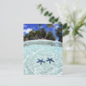 Zee sterren, Rock Islands, Palau 2 Briefkaart (Staand voorkant)