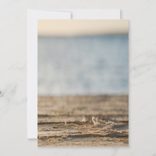 Zee sterren Sand Beach Save The Date (Achterkant)