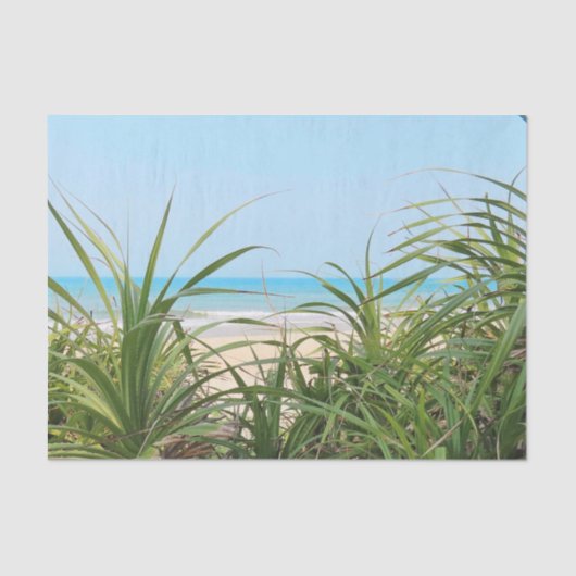 zee, strand, palm, natuur, zomer, boom, tropisch; tissuepapier (Voorkant)