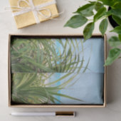 zee, strand, palm, natuur, zomer, boom, tropisch; tissuepapier (Geschenk)