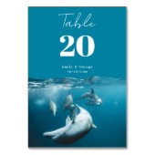 Zee strand van marinescheepvaart onderwater kaart (Voorkant)