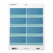 Zee taxi etiket (Full Sheet)