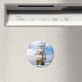 Zee testen magneet (Insitu (Vaatwasser))