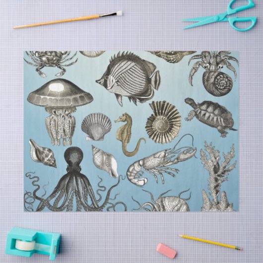 Zee Tissuepapier (Craft)