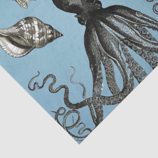 Zee Tissuepapier (Detail)