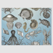 Zee Tissuepapier (Voorkant)