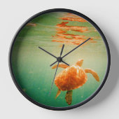 Zee Turtle (Voorkant)