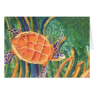 Zee Turtle