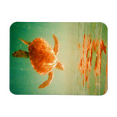 Zee Turtle 3"x4" Photo Magnet Magneet (Horizontaal)