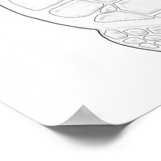 Zee Turtle Adult Coloring Poster (Hoek)