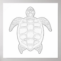 Zee Turtle Adult Coloring Poster