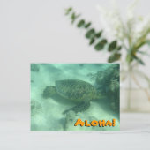 Zee Turtle Aloha uit het Briefkaart Hawaï (Staand voorkant)