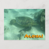 Zee Turtle Aloha uit het Briefkaart Hawaï (Voorkant)