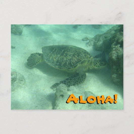 Zee Turtle Aloha uit het Briefkaart Hawaï (Voorkant)