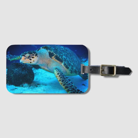 Zee Turtle Bagagelabel (Voorkant (horizontaal))